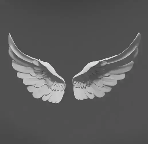 Wings two 3D model