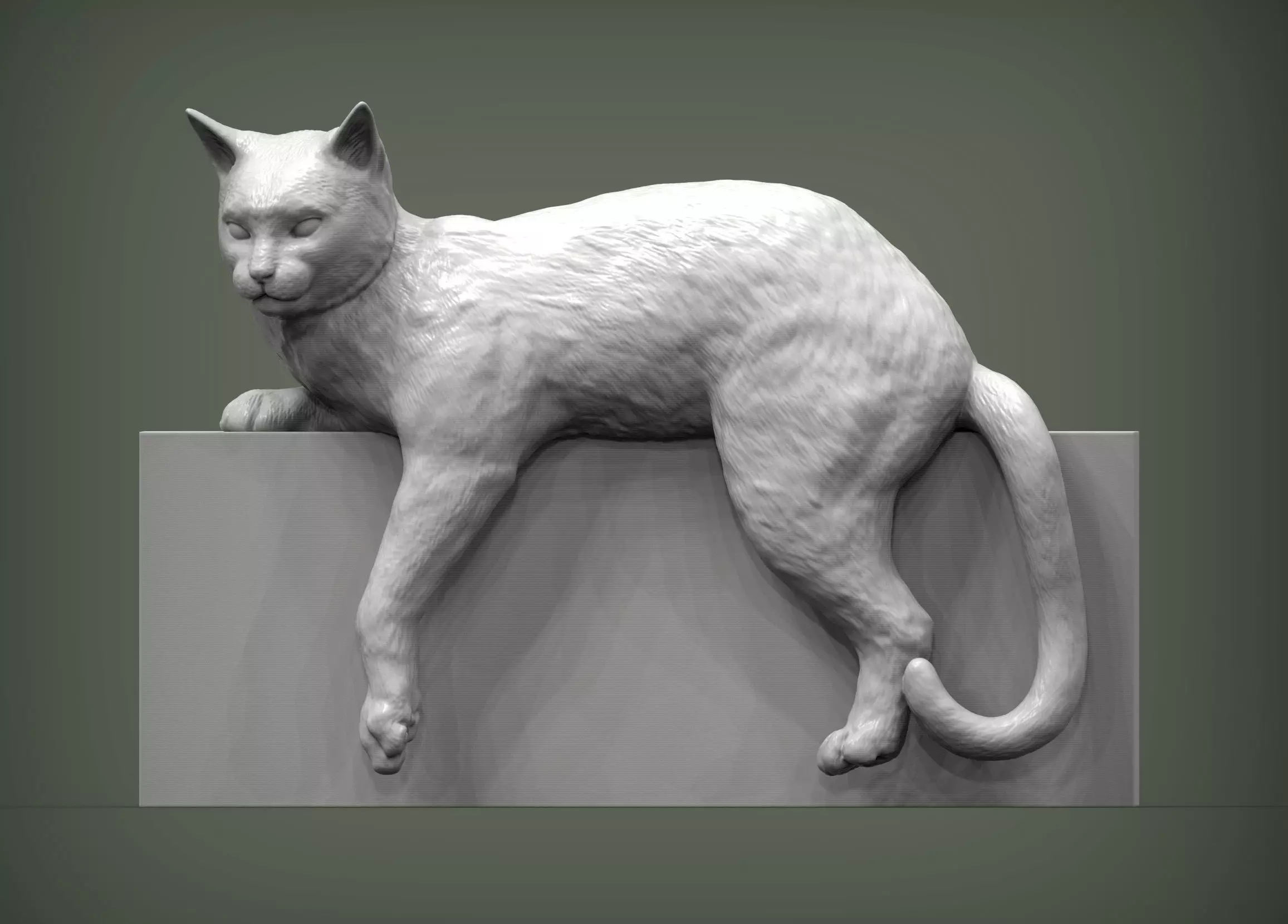 Cat for 3d printing 3D print model_0