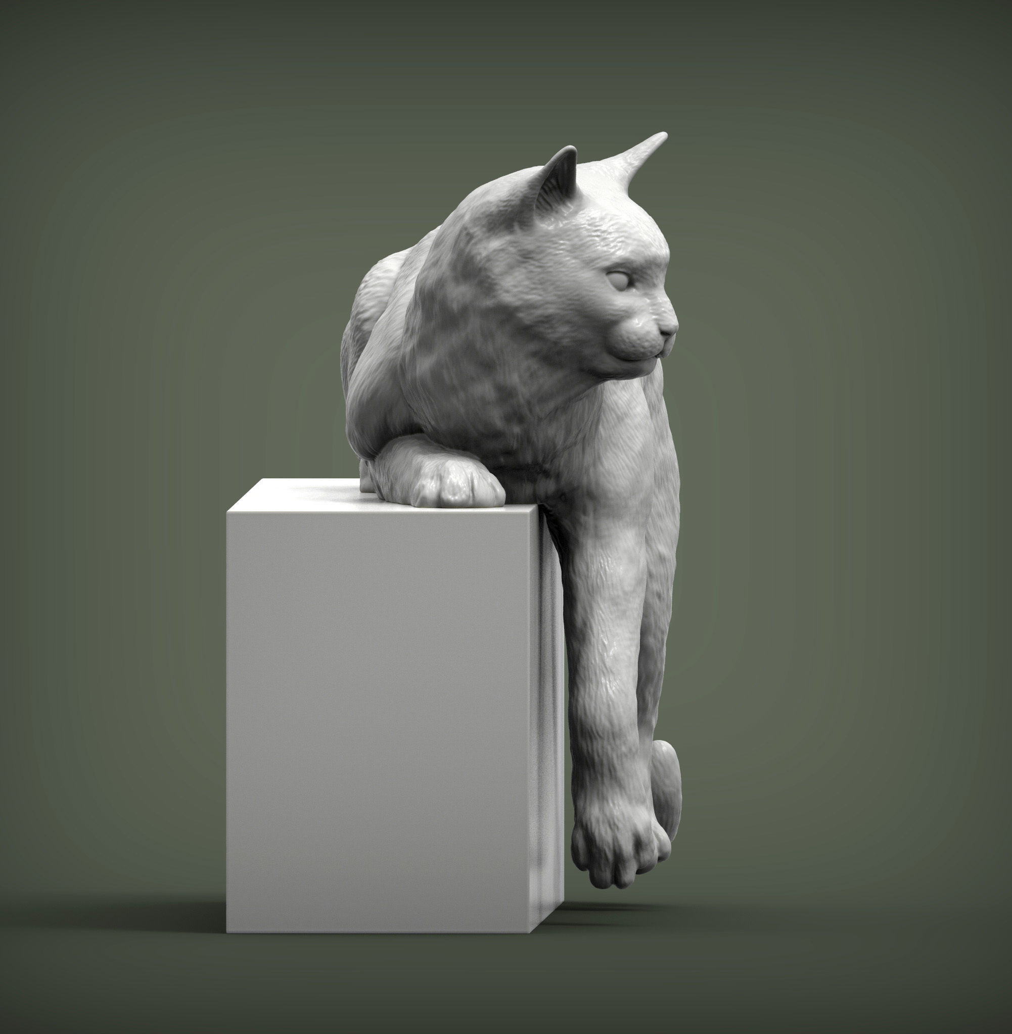 Cat for 3d printing 3D print model_2