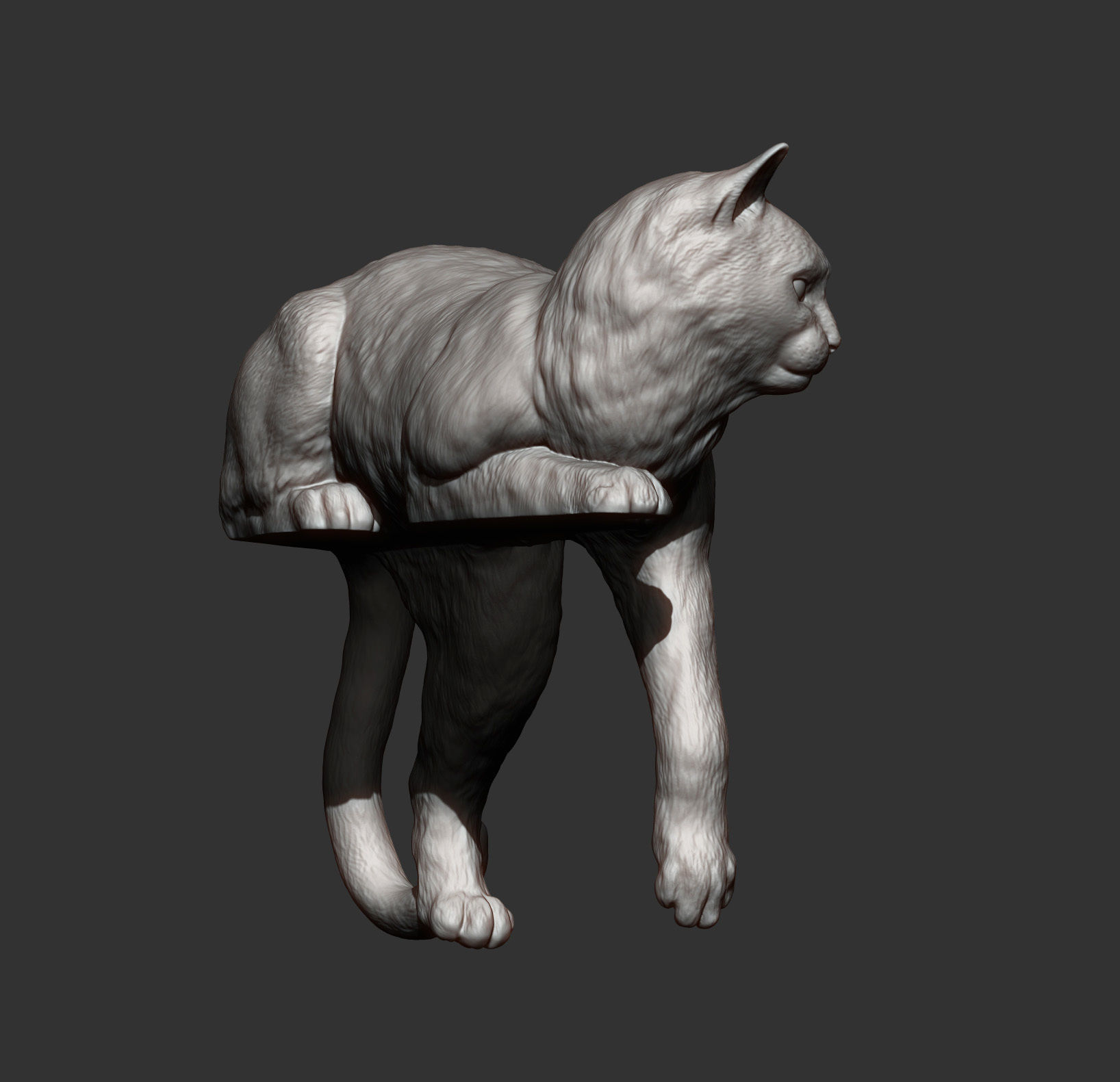 Cat for 3d printing 3D print model_4