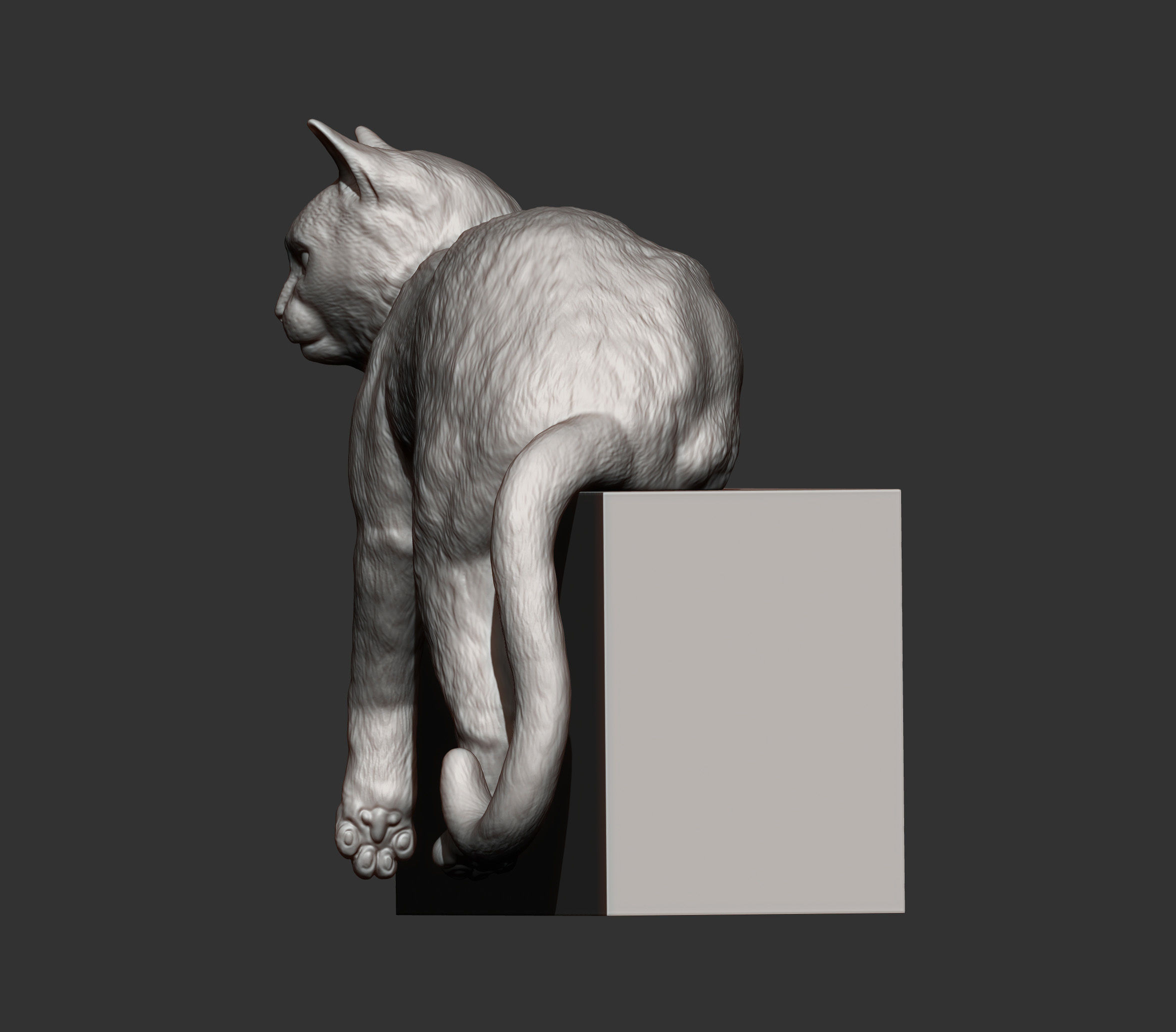 Cat for 3d printing 3D print model_7