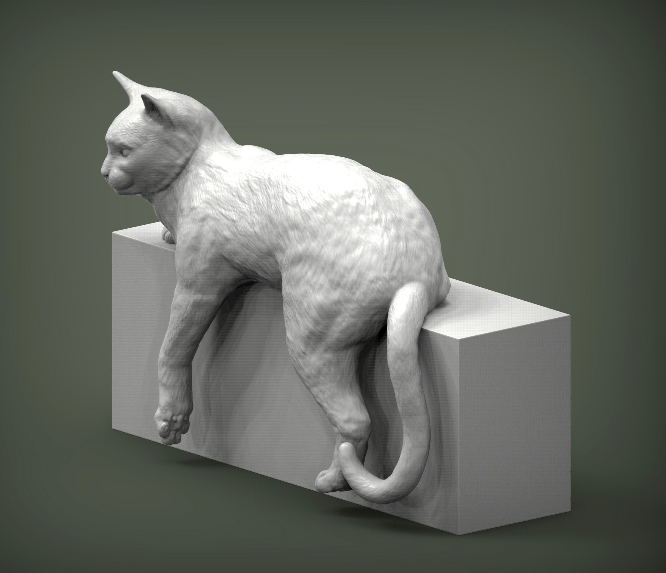 Cat for 3d printing 3D print model_3