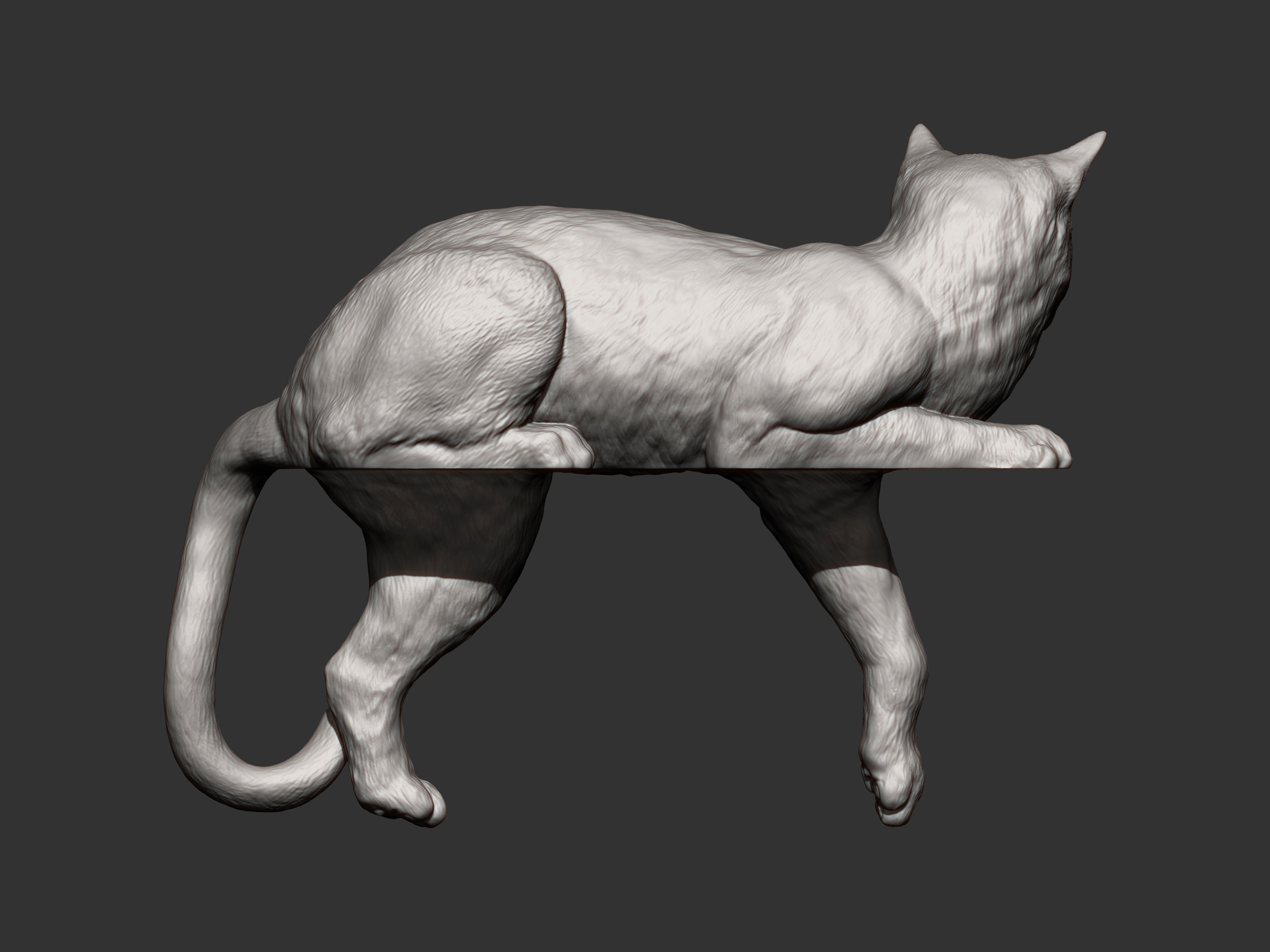 Cat for 3d printing 3D print model_10