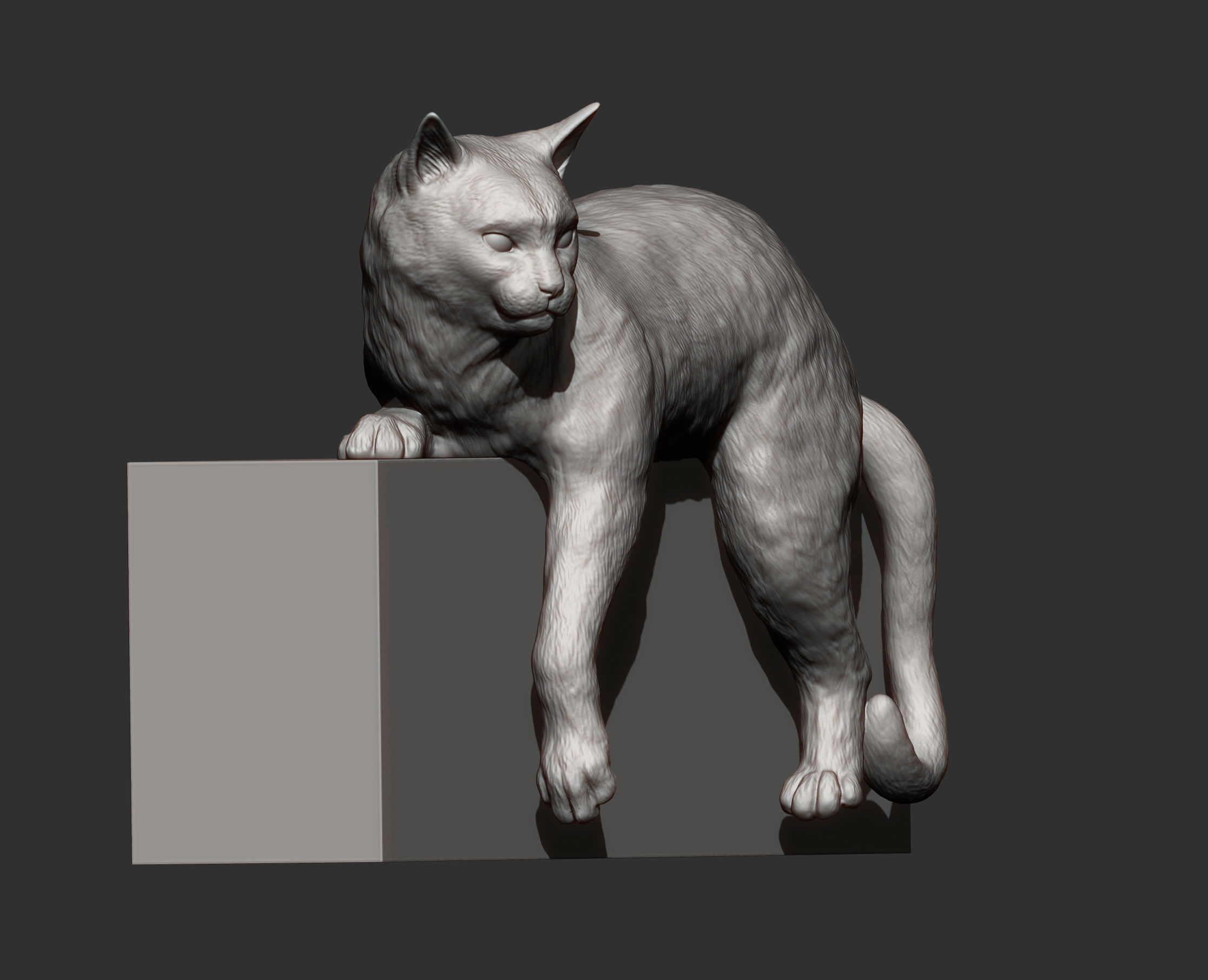 Cat for 3d printing 3D print model_6