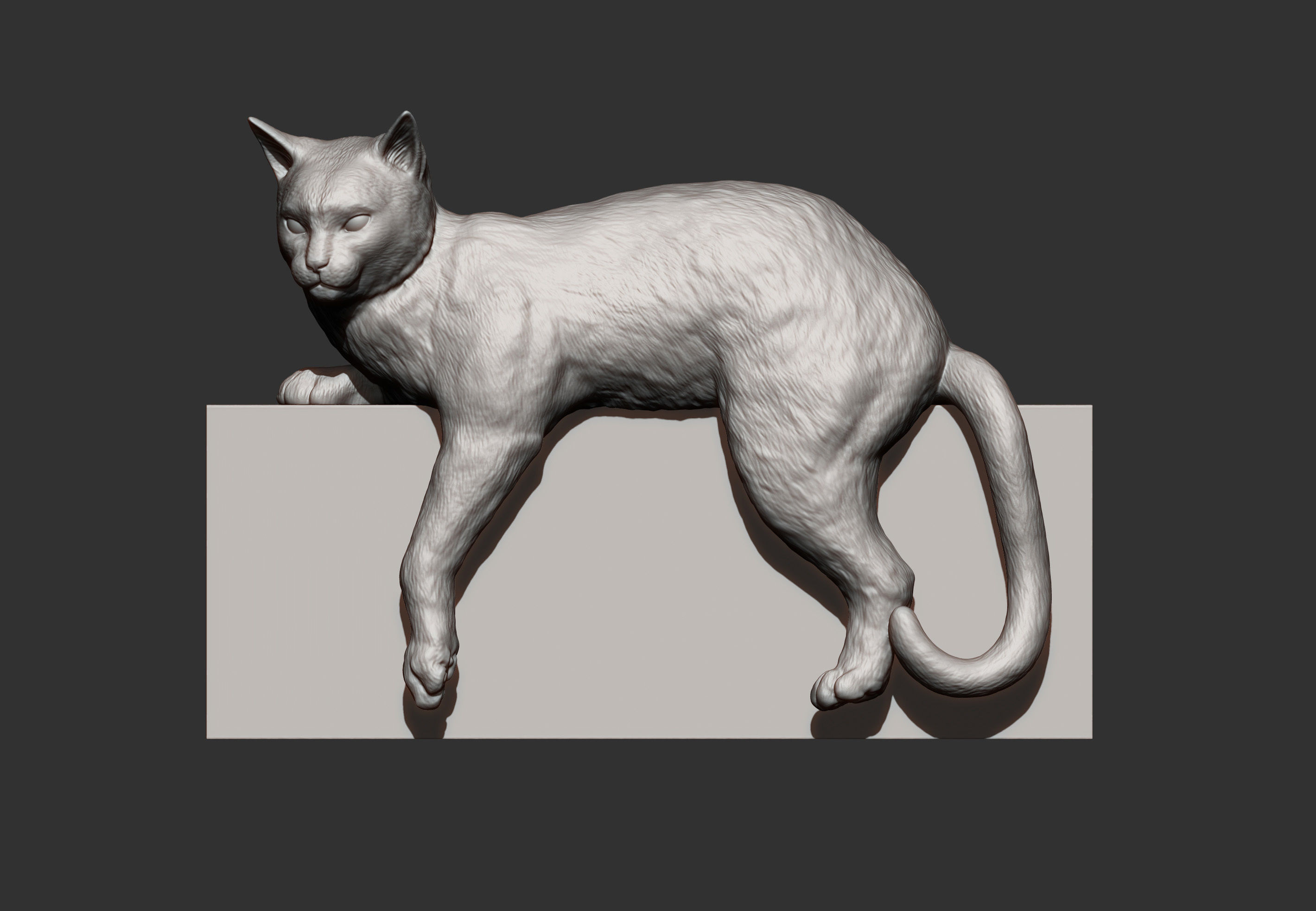 Cat for 3d printing 3D print model_9