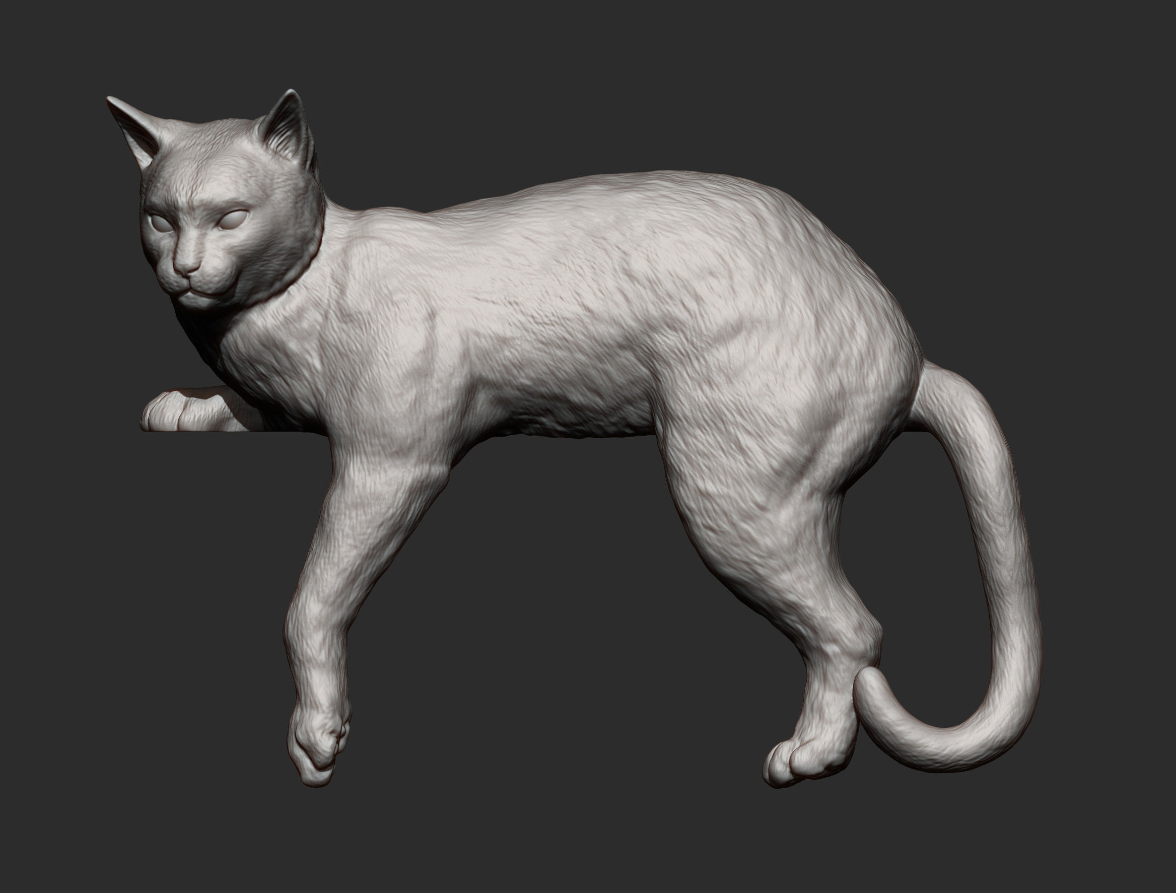 Cat for 3d printing 3D print model_11