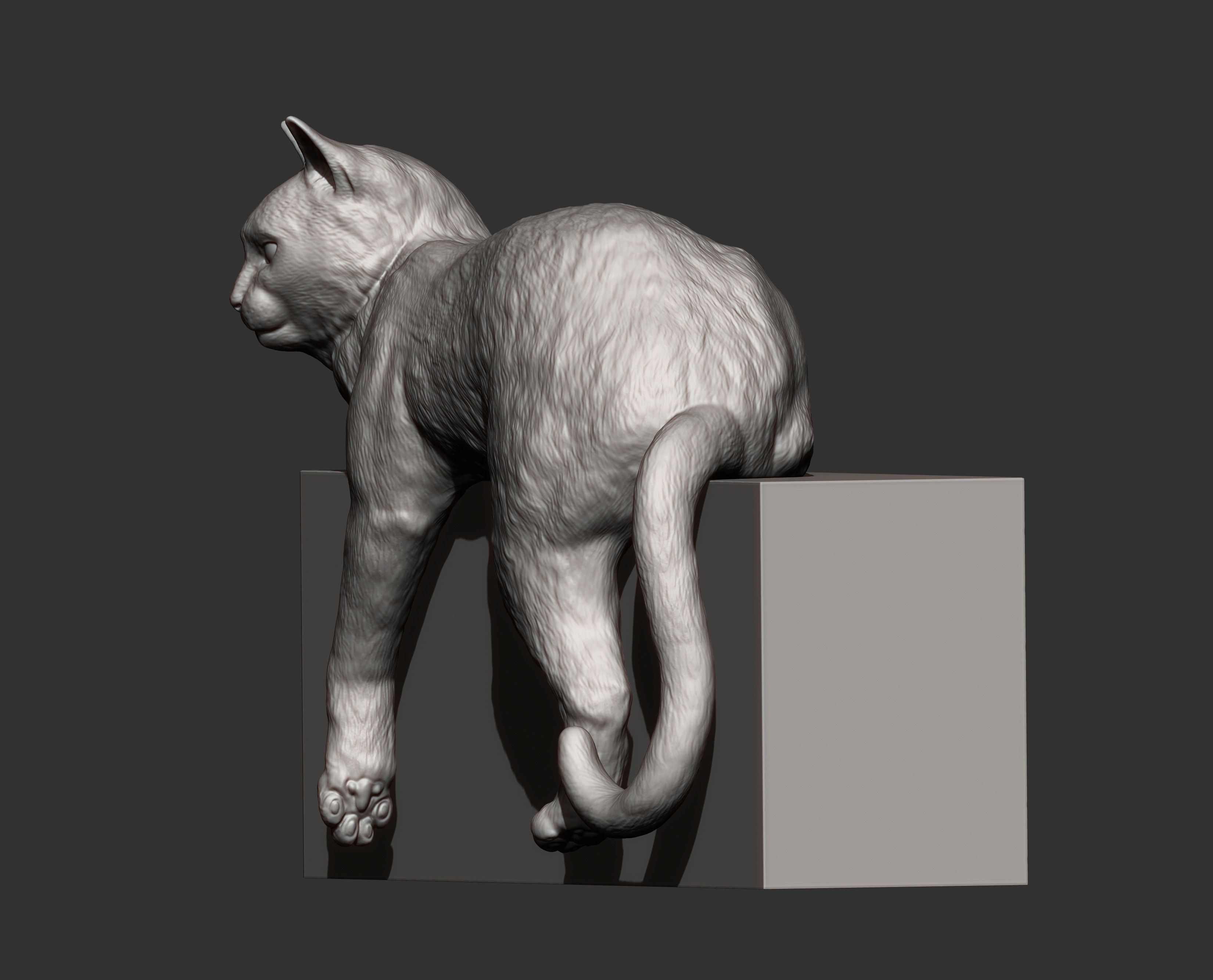 Cat for 3d printing 3D print model_12