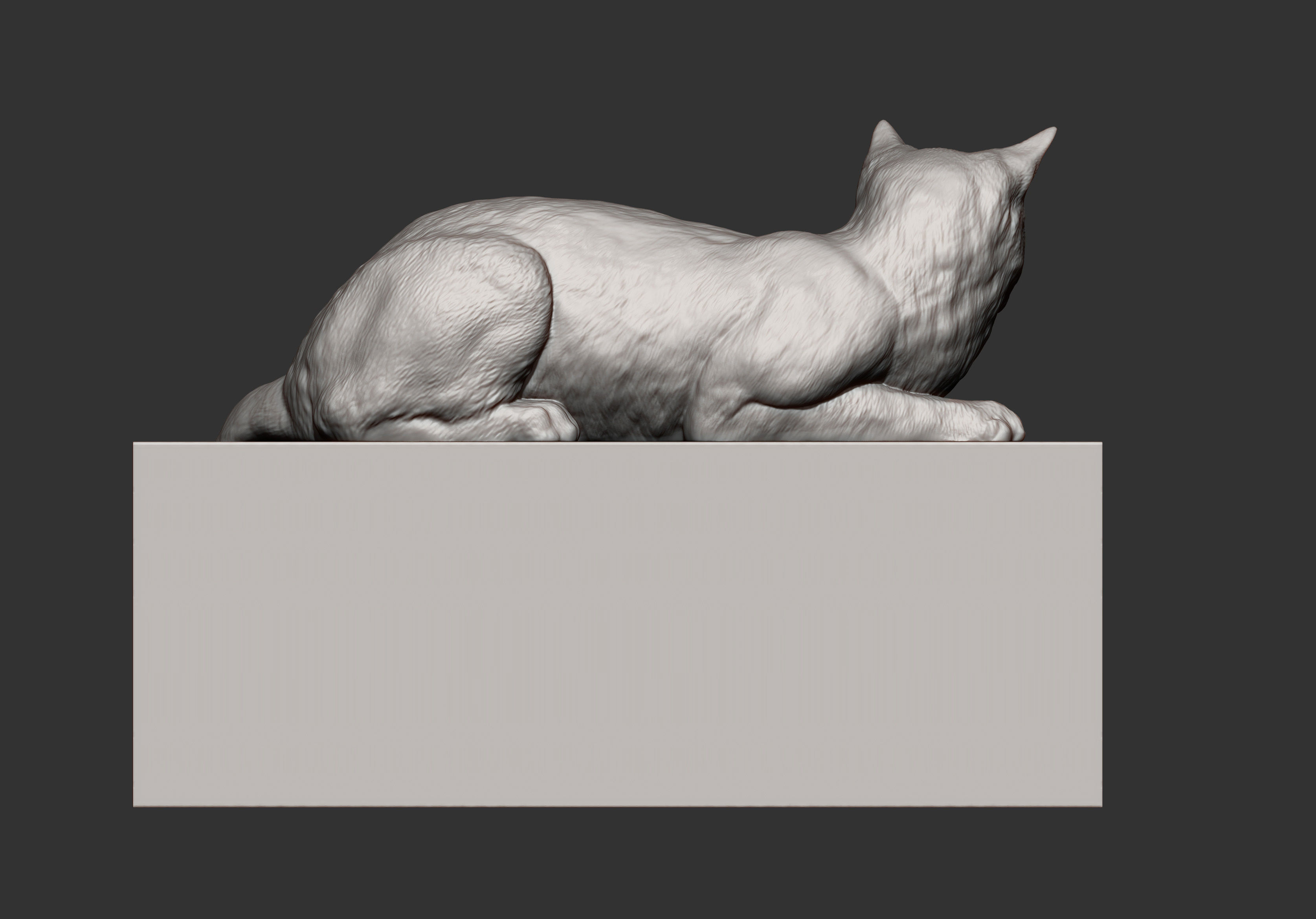 Cat for 3d printing 3D print model_5