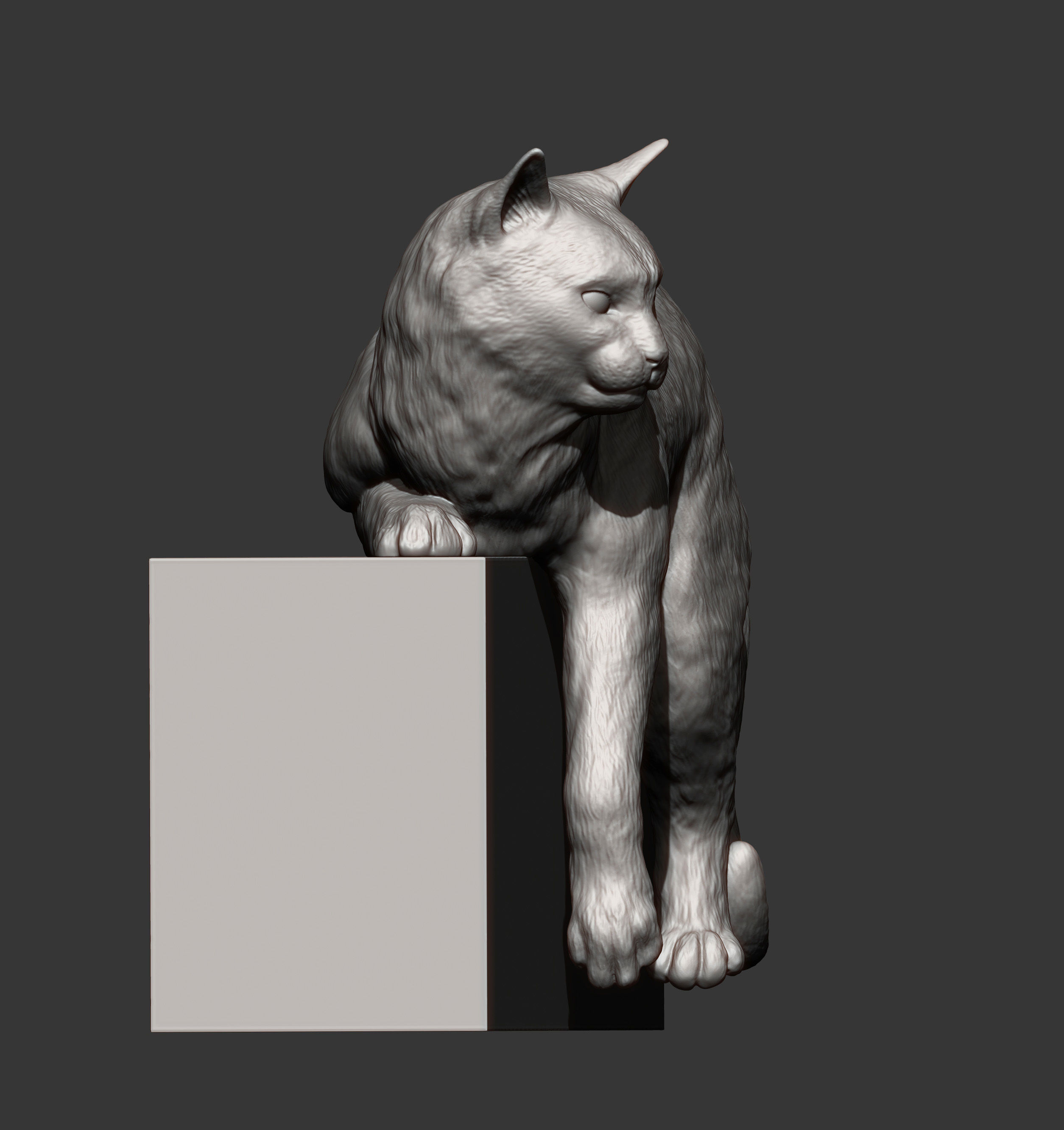 Cat for 3d printing 3D print model_8