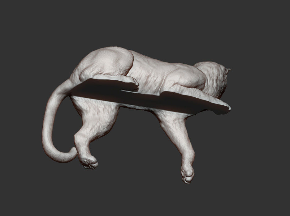 Cat for 3d printing 3D print model_13