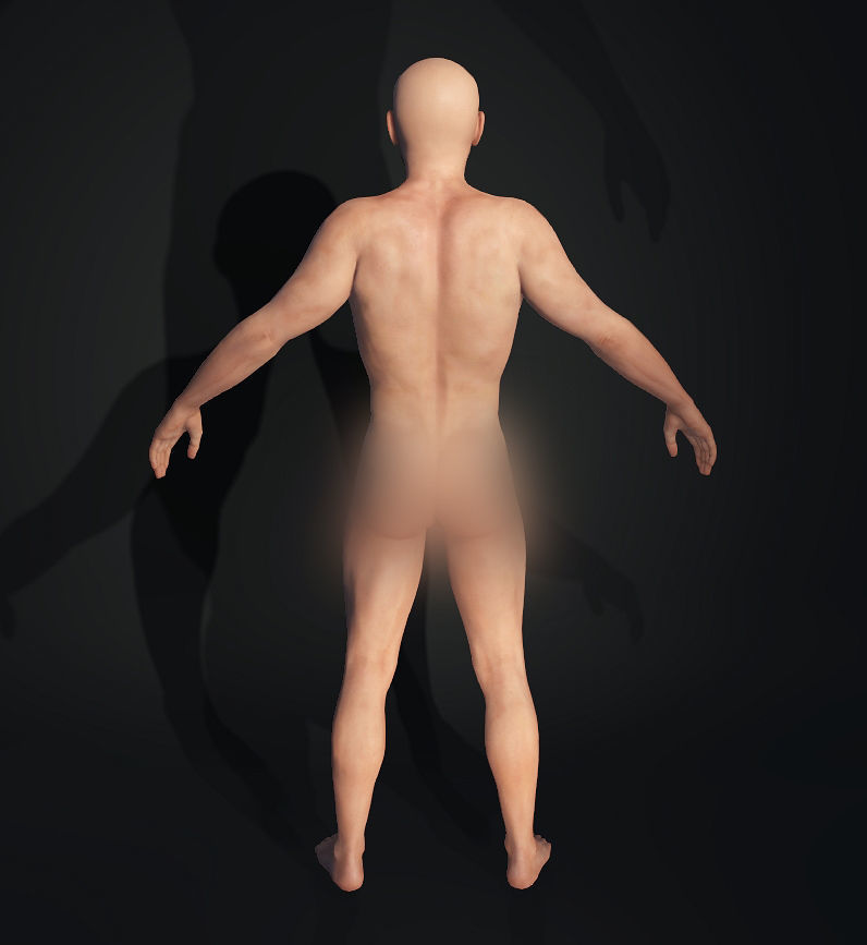 Johnny sins Male Character 3D Model Full Rigged Low-poly 3D model_10