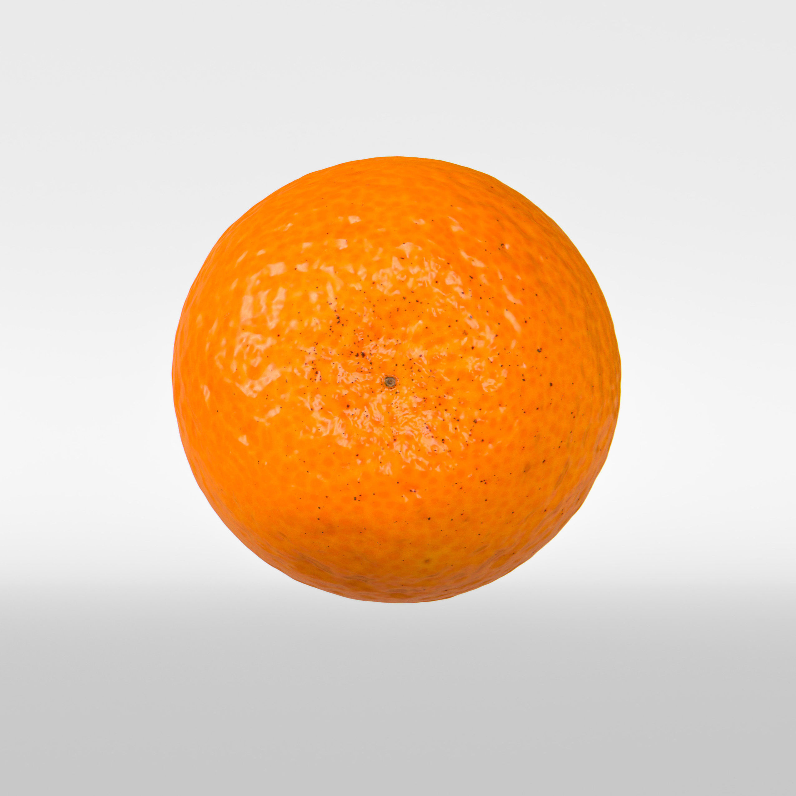 Kumquat 3D model_7
