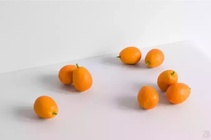Kumquat 3D model