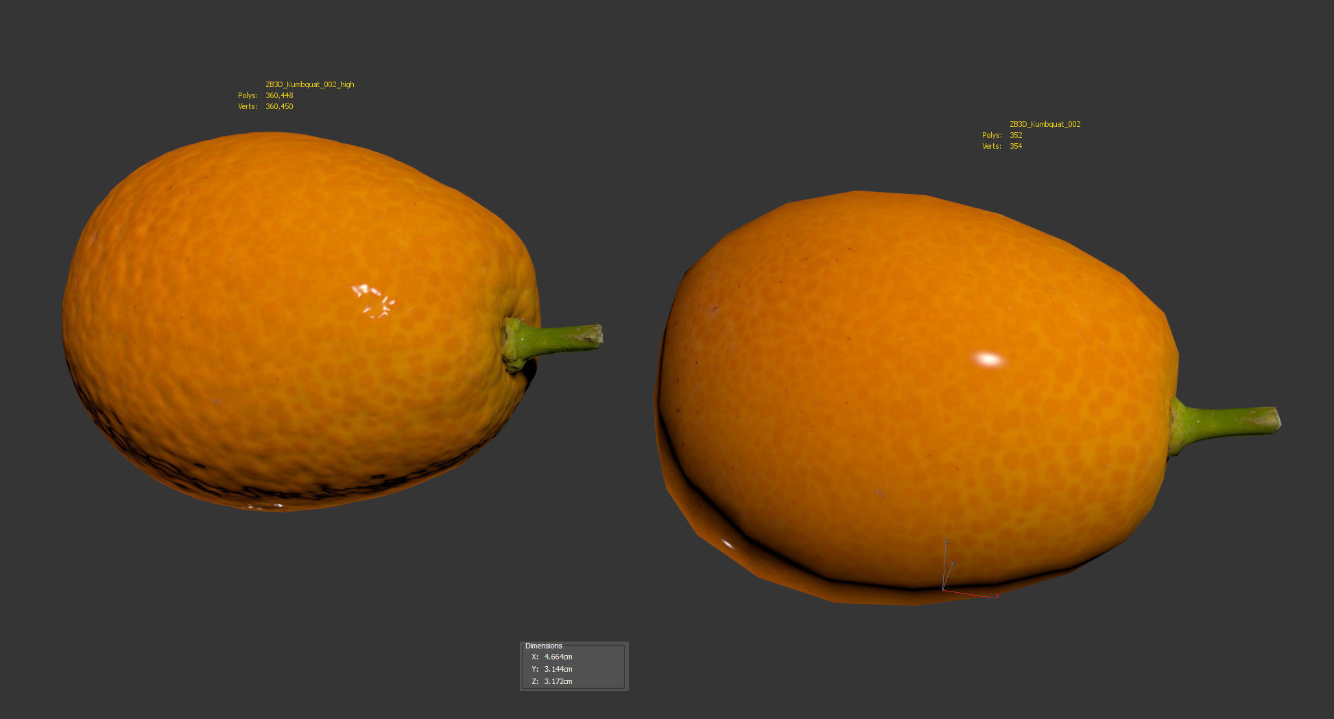 Kumquat 3D model_9