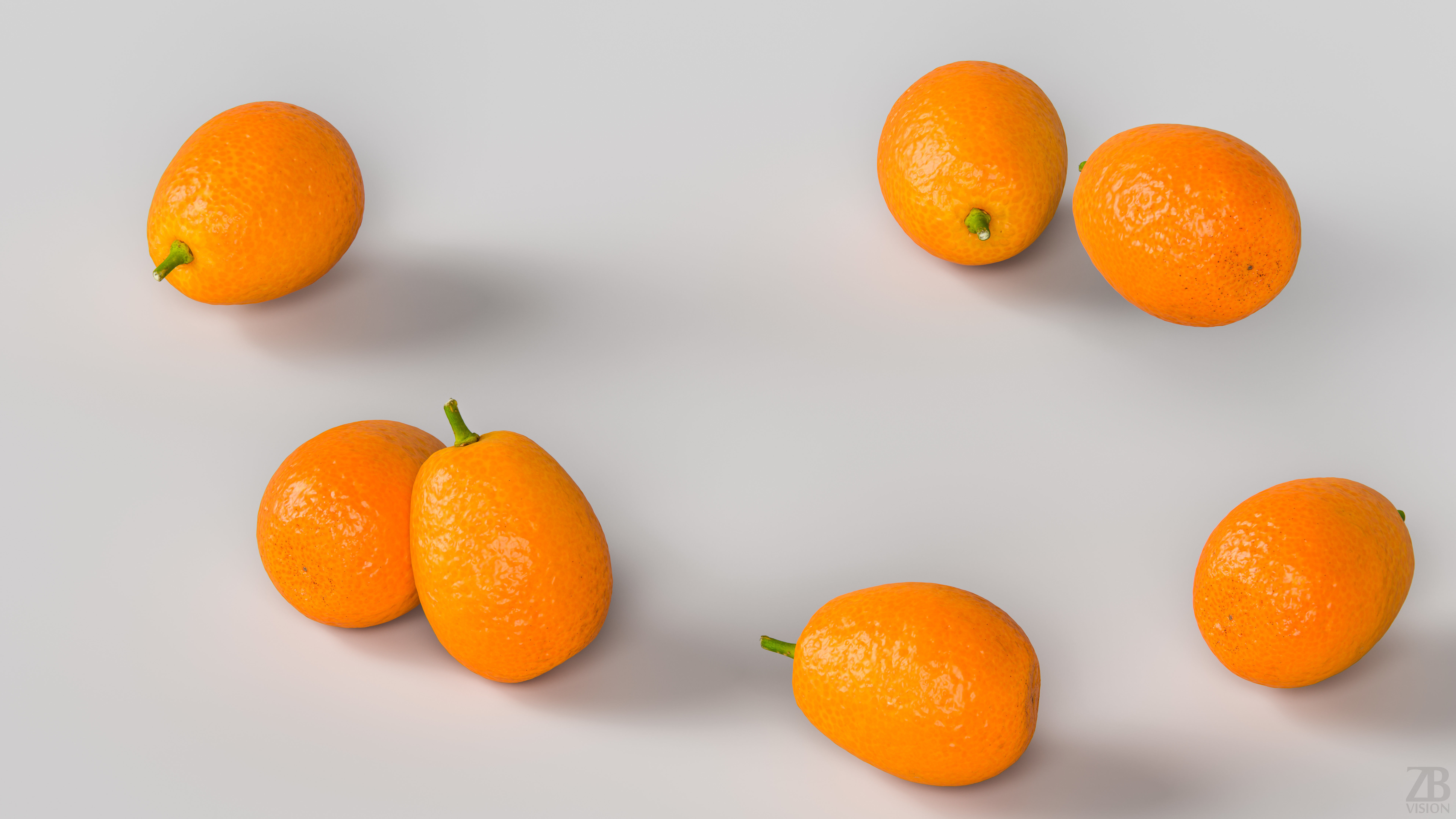 Kumquat 3D model_2