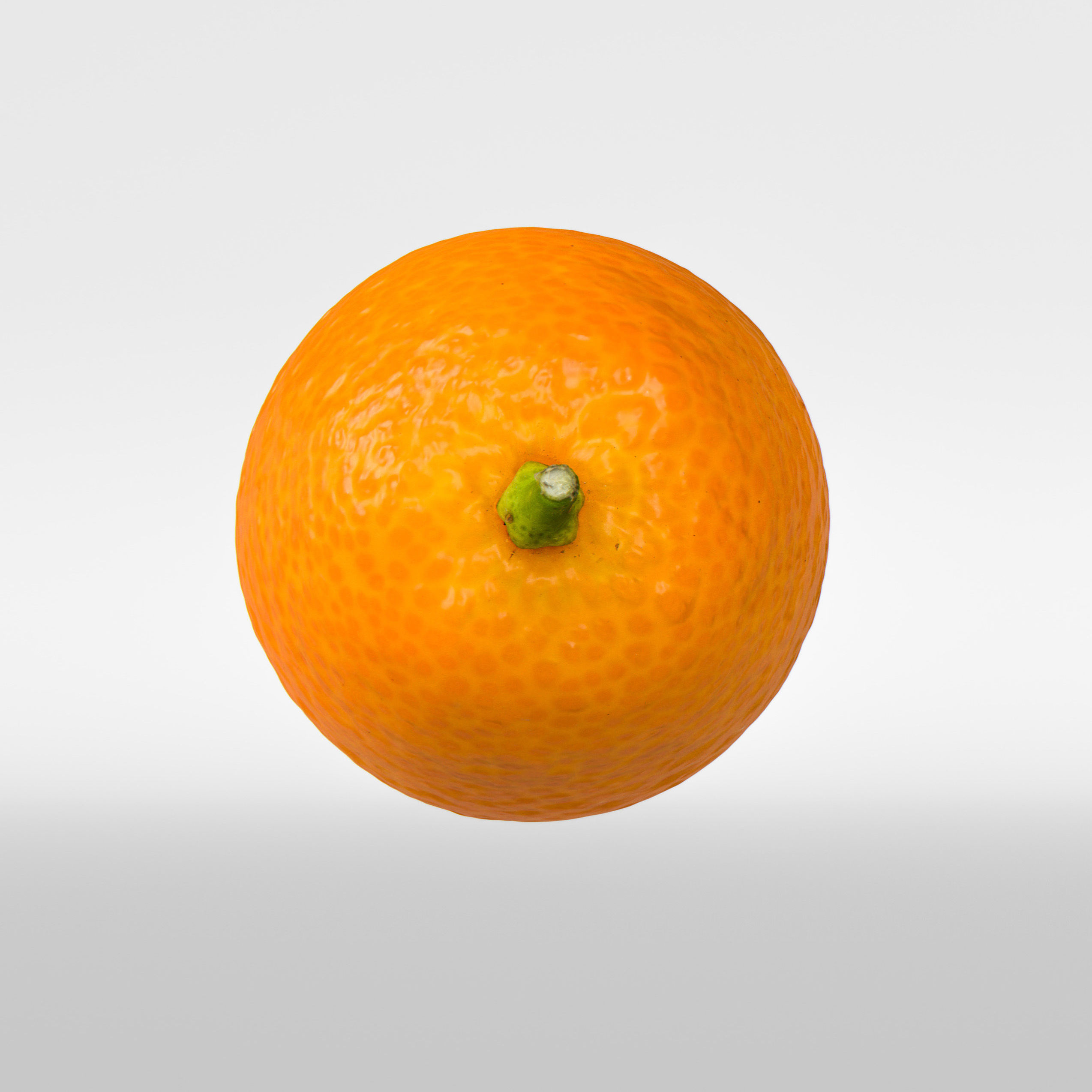 Kumquat 3D model_6