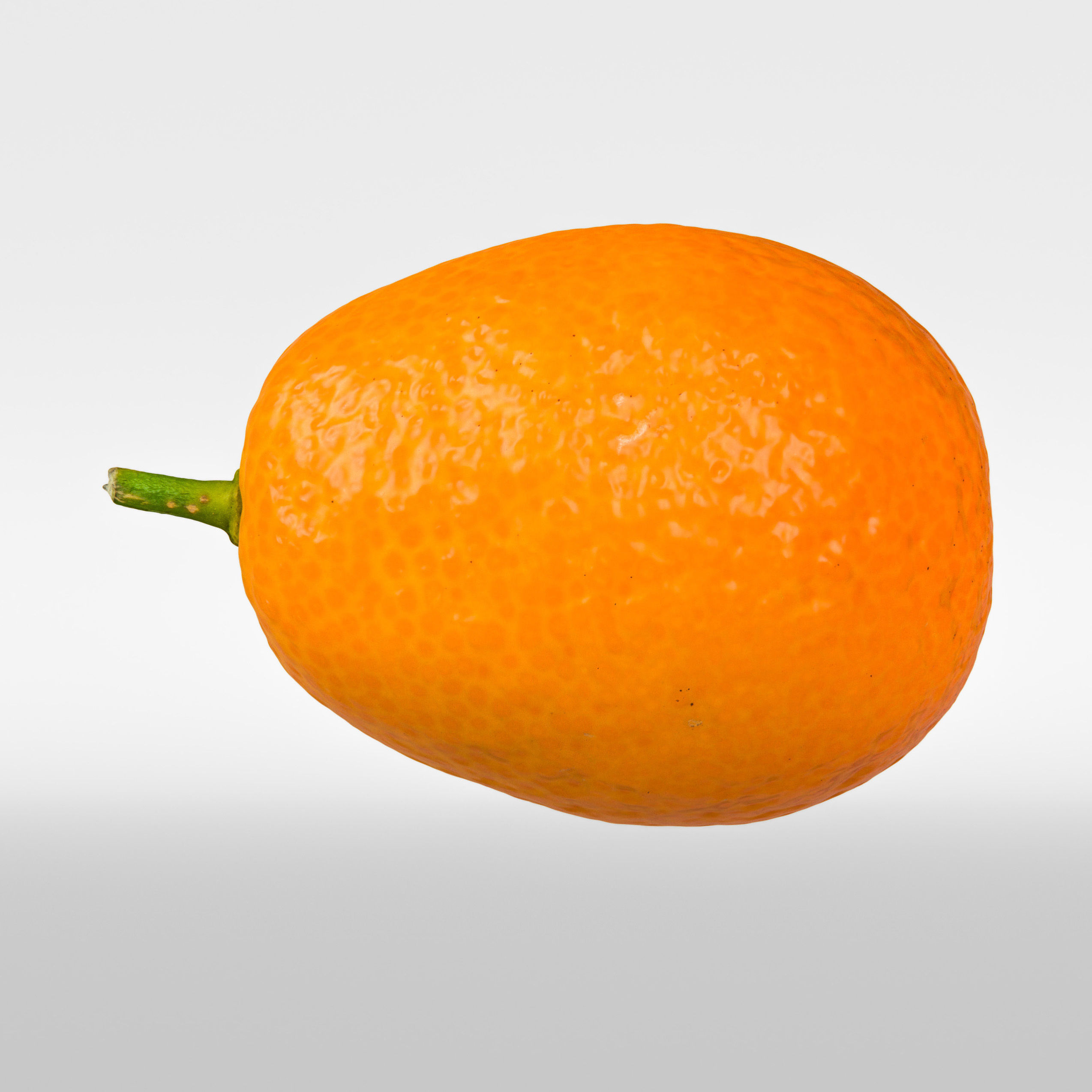 Kumquat 3D model_5