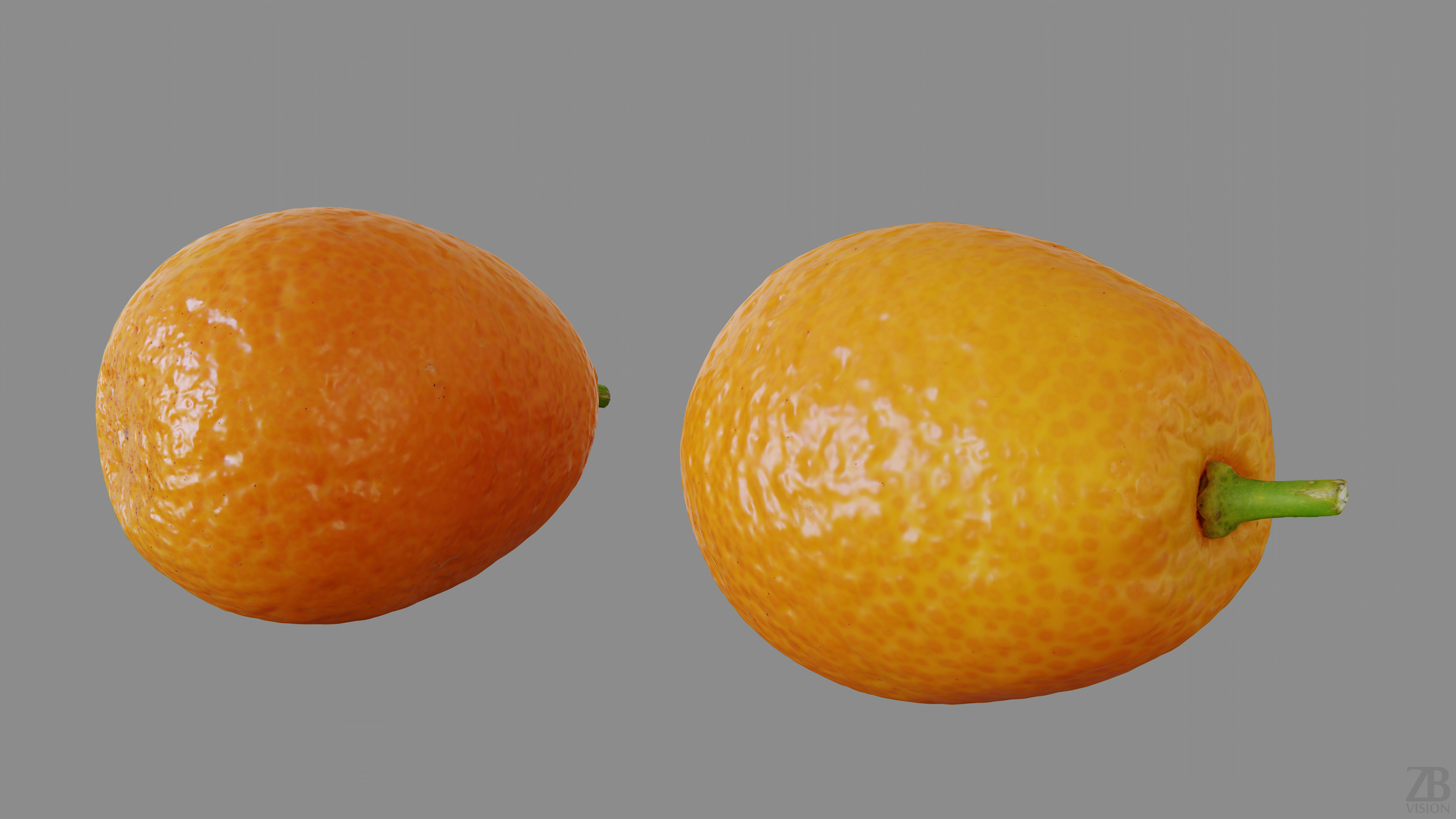 Kumquat 3D model_8