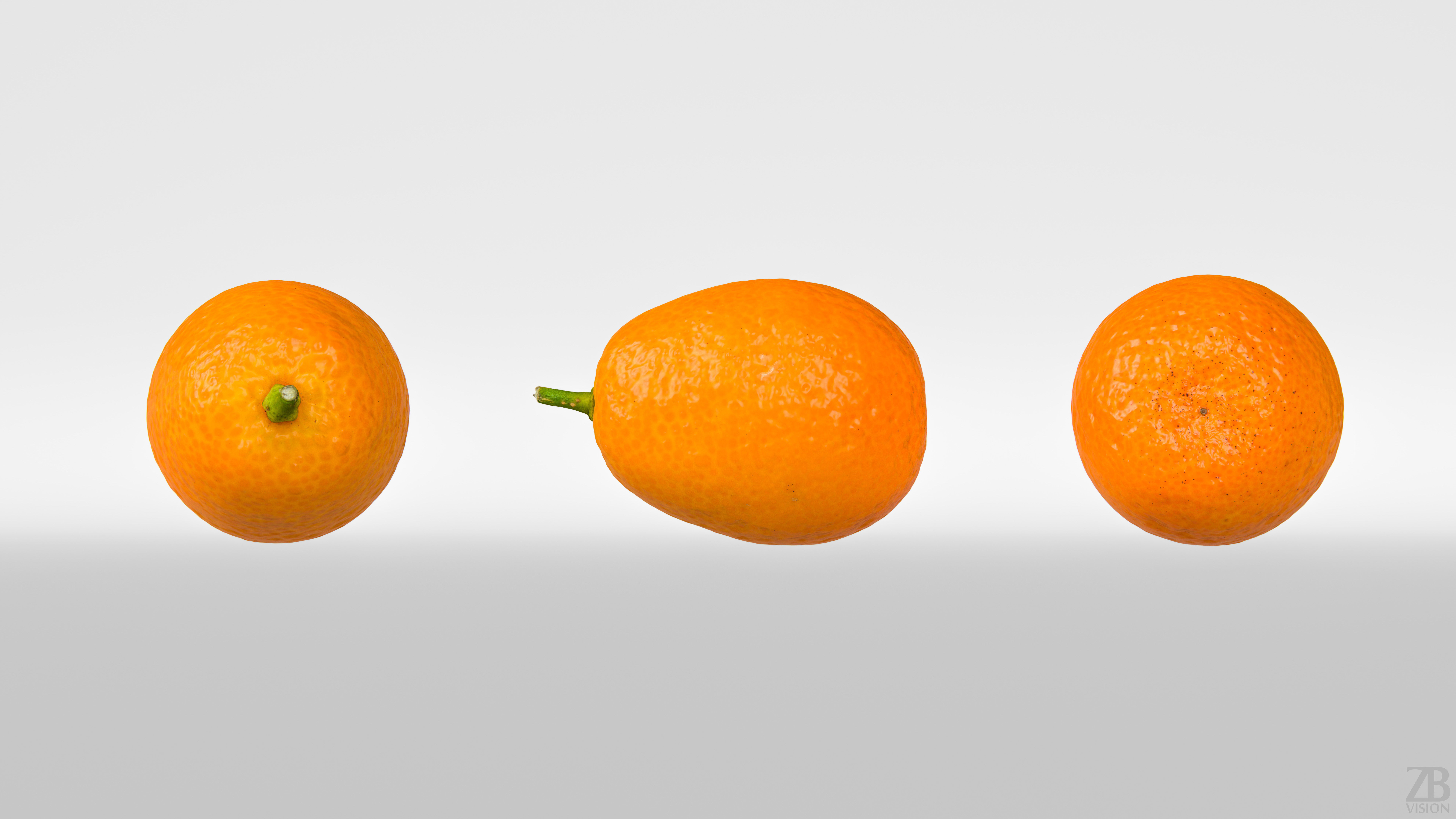 Kumquat 3D model_4
