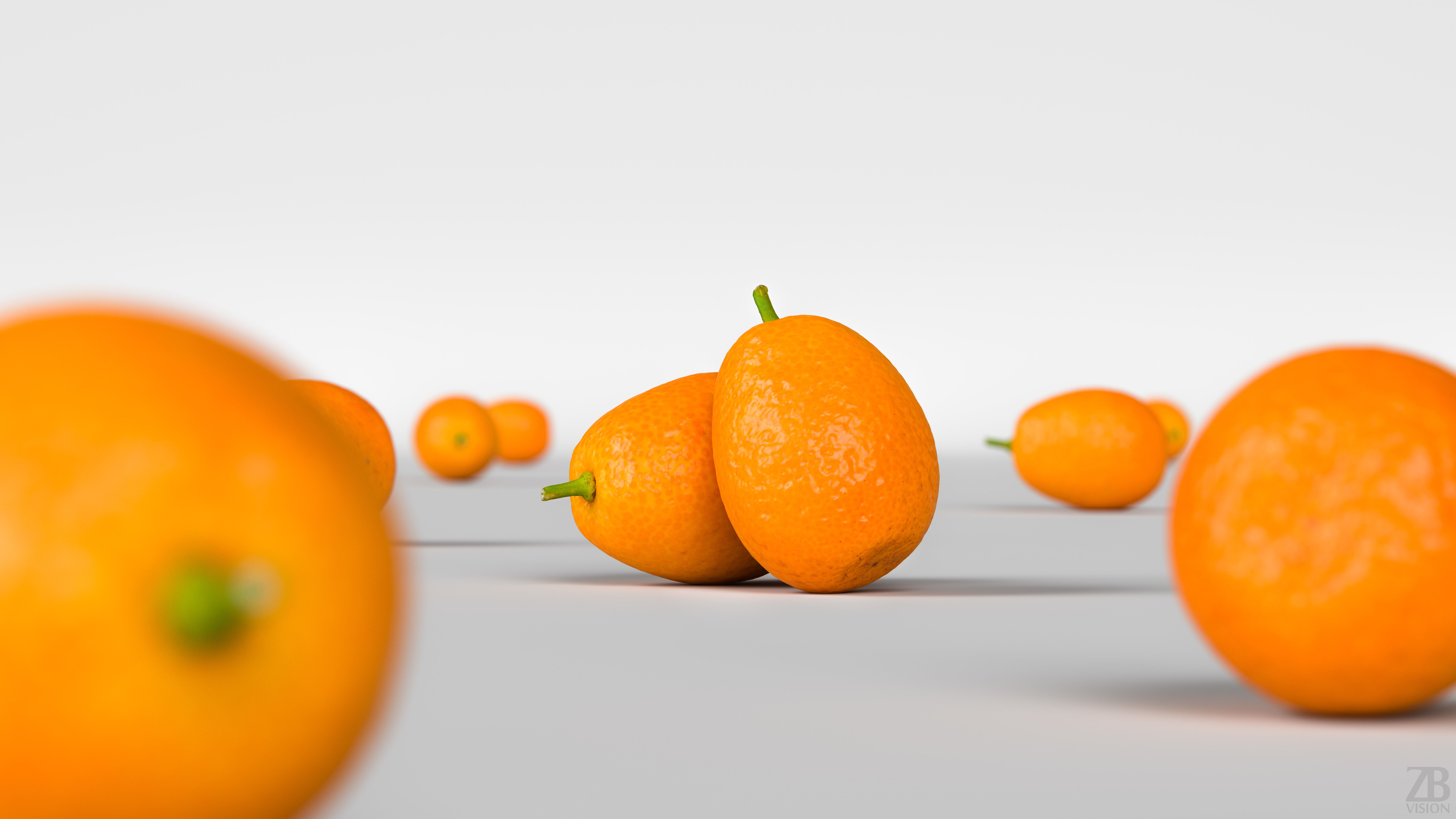 Kumquat 3D model_1