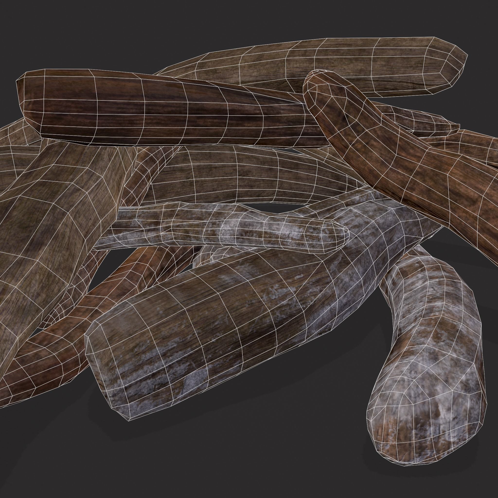 Driftwood  Low-poly 3D model_10