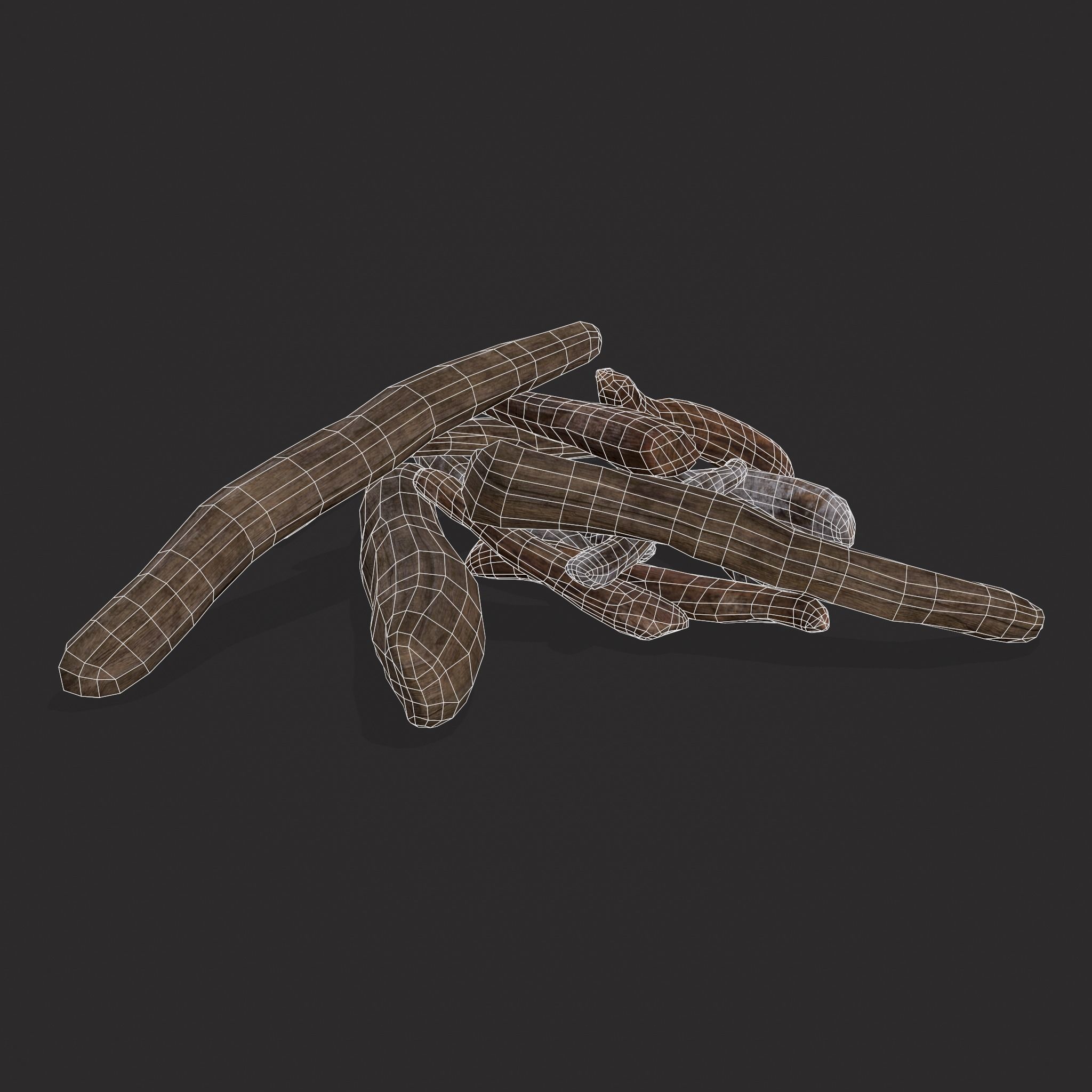 Driftwood  Low-poly 3D model_8