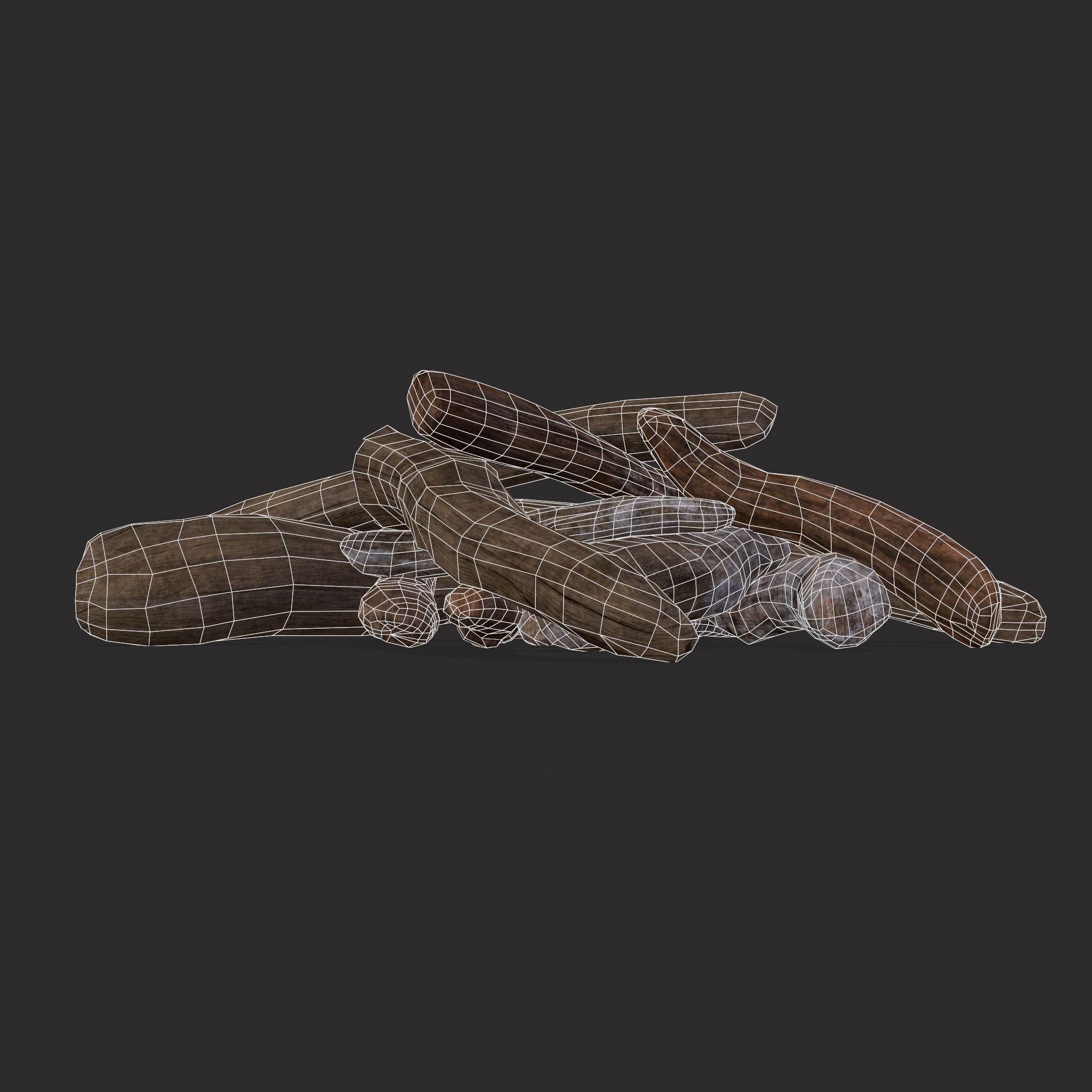 Driftwood  Low-poly 3D model_20