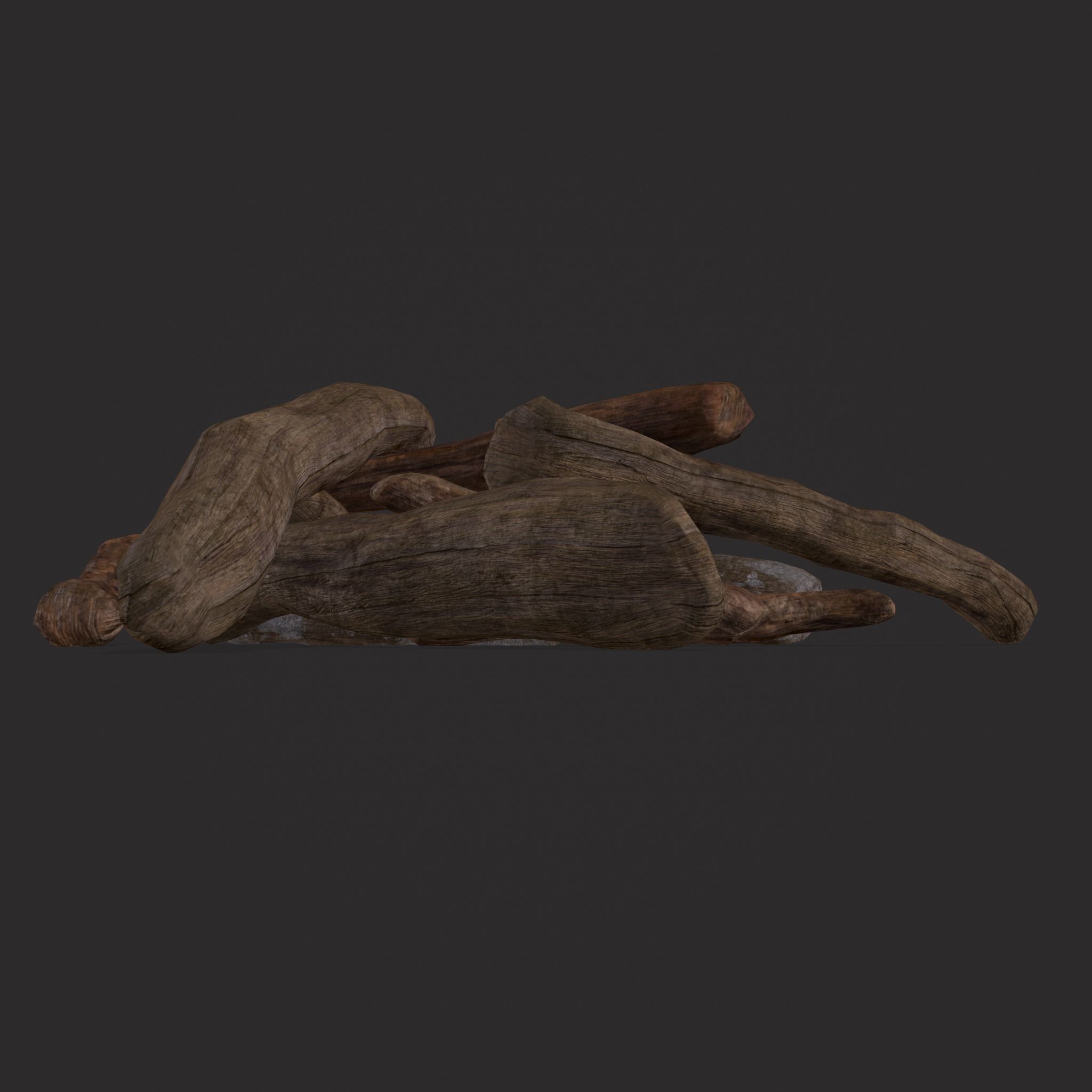Driftwood  Low-poly 3D model_17