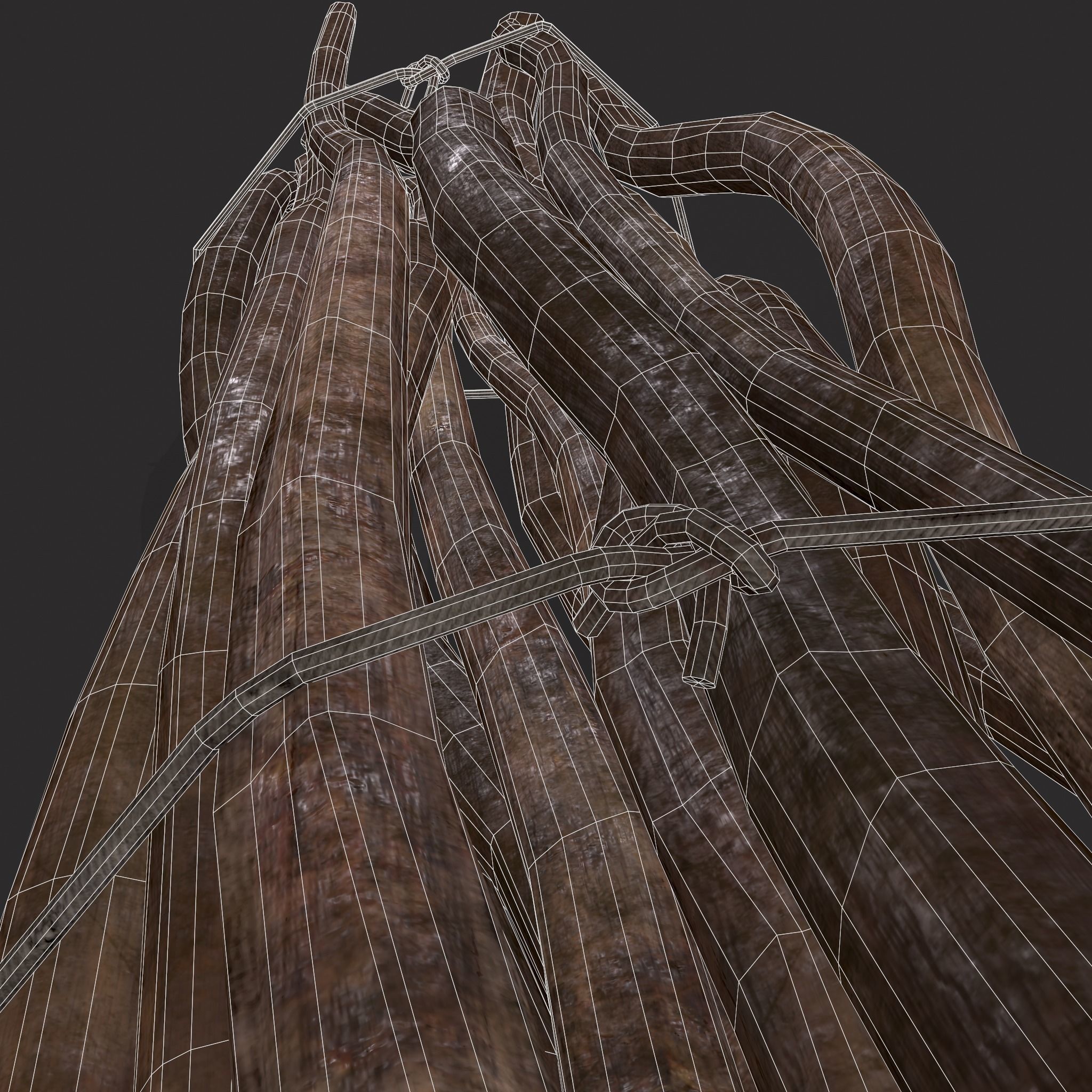 Sticks Bundle Two Low-poly 3D model_16