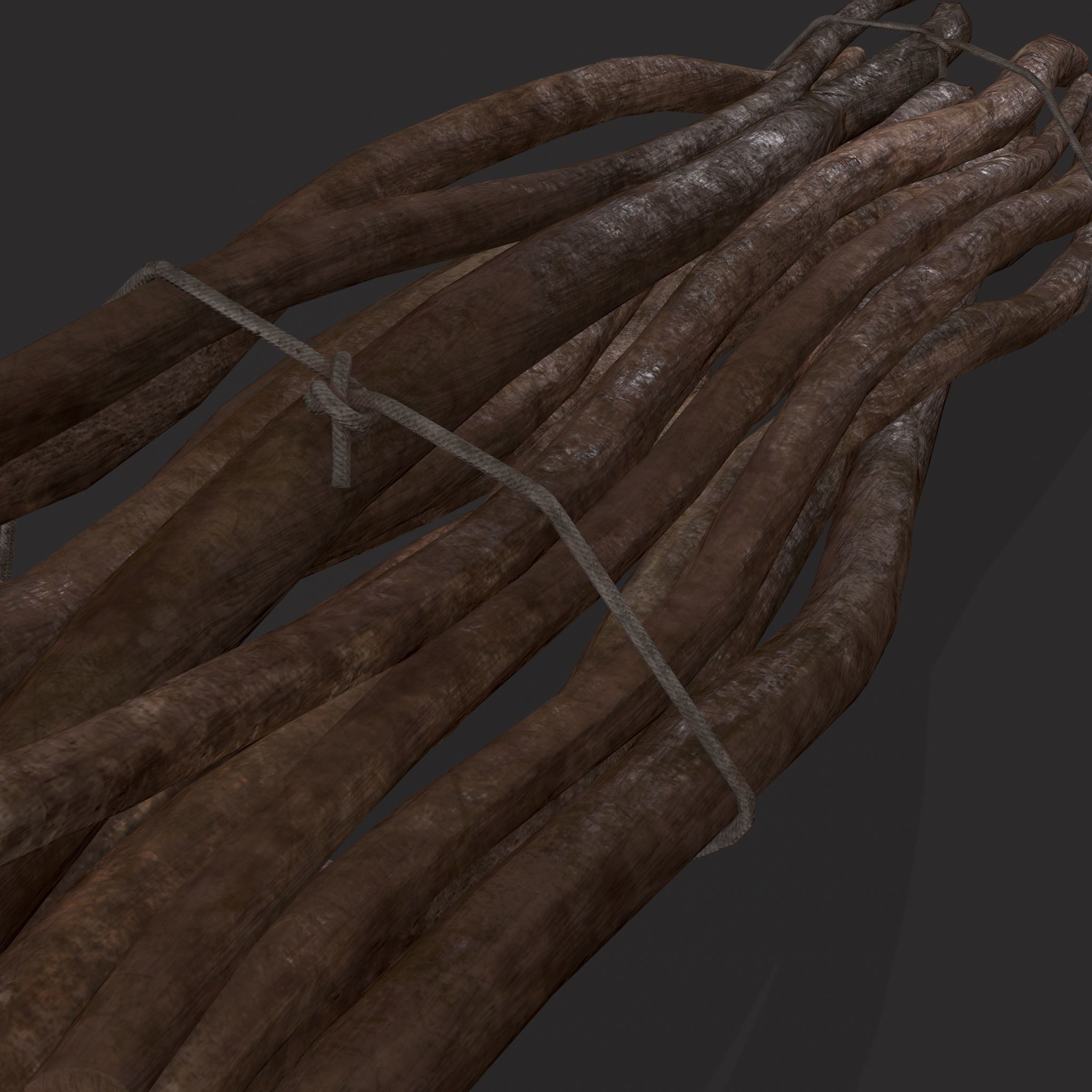 Sticks Bundle Two Low-poly 3D model_17