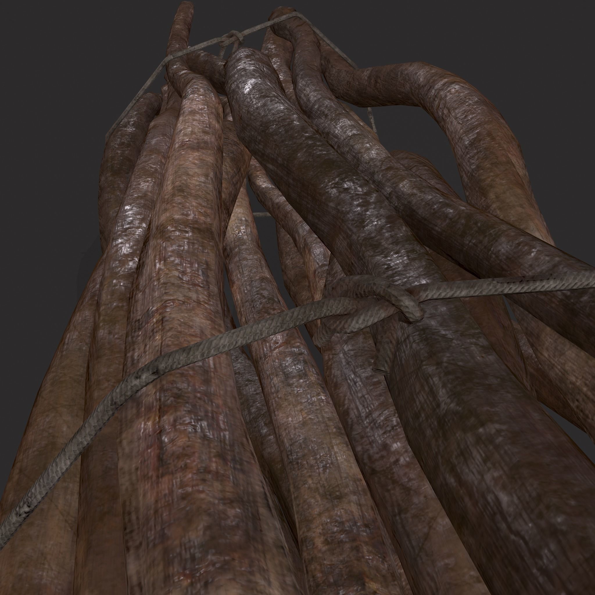 Sticks Bundle Two Low-poly 3D model_15