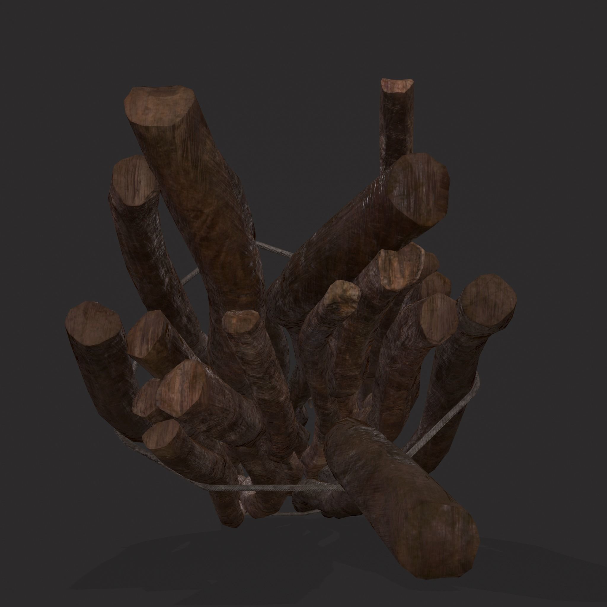 Sticks Bundle Two Low-poly 3D model_9