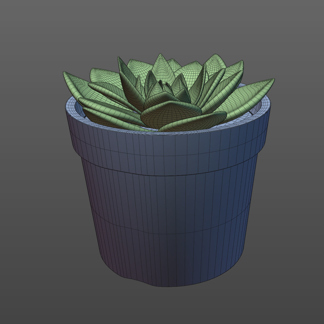 Potted Plant white rose succulent 3D model_6