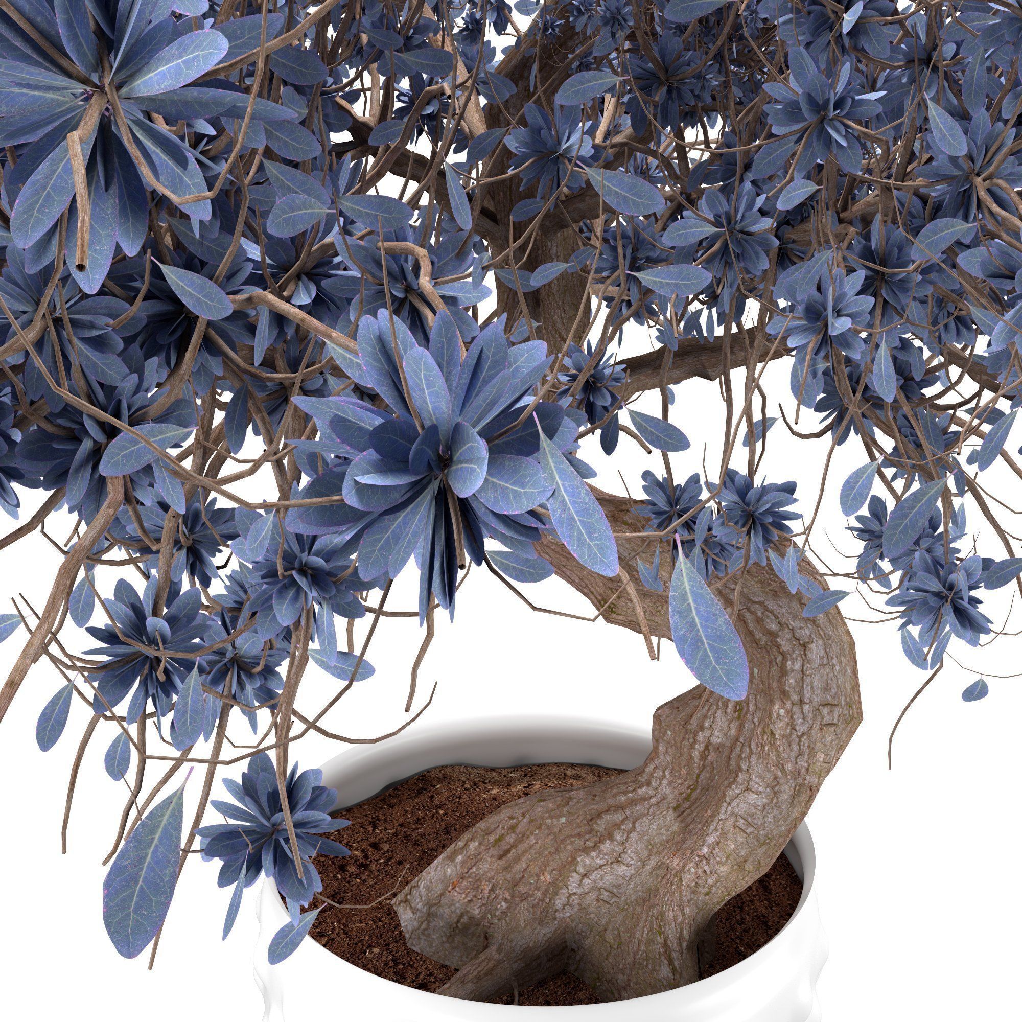 3D Flower-pot bonsai tree Low-poly 3D model_3