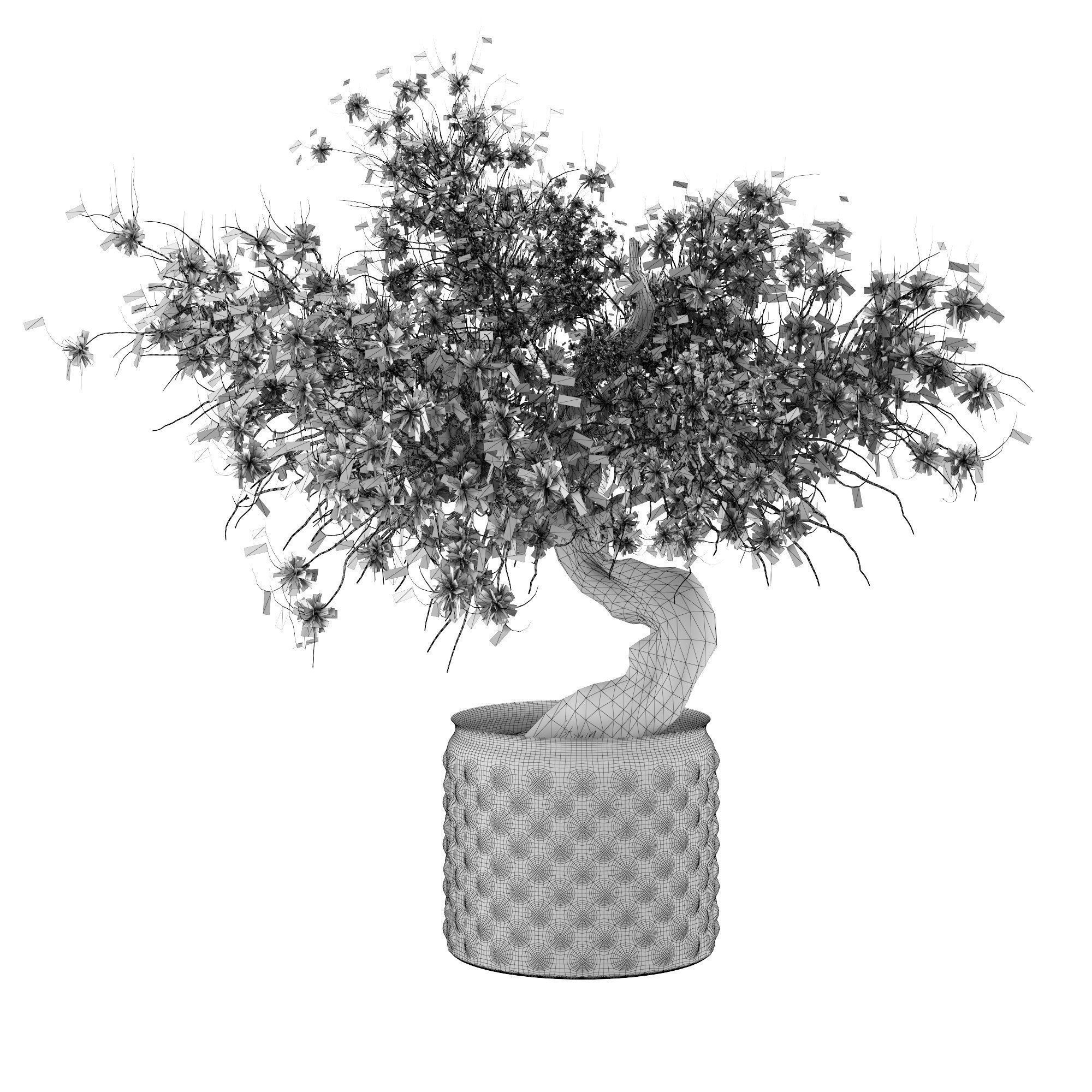3D Flower-pot bonsai tree Low-poly 3D model_2