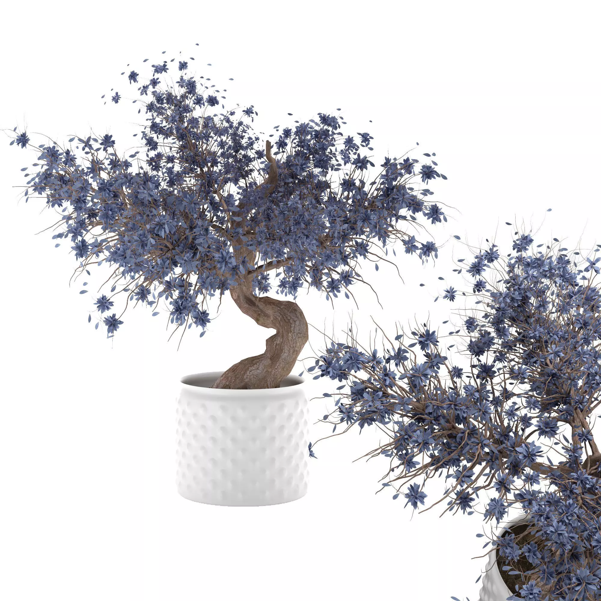 3D Flower-pot bonsai tree Low-poly 3D model_0