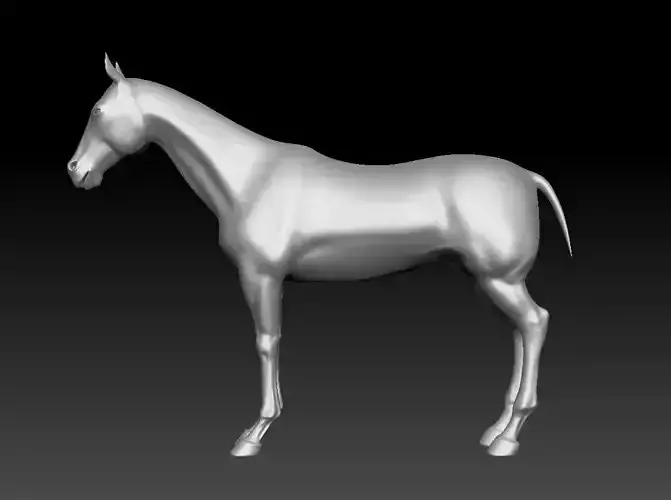 Horse animal mammal highpoly zebra metaverse biology wild