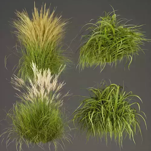 Collection plant vol 310 -grass-outdoor-leaf 3D model