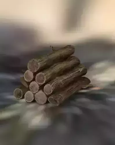 Logs fire