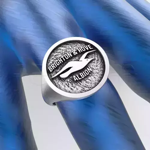 Brighton Hove Albion FC Ring England Londra 3D print model