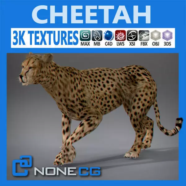 Cheetah 3D model