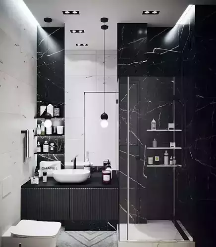 Bathroom Black and White 2017 3D Scene