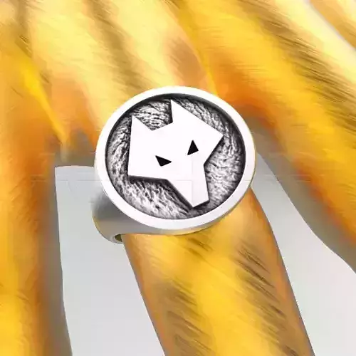 Wolverhampton Wanderers FC Ring England Football 