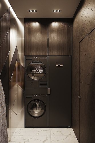 Dark Brown Laundry Room 2017 3D Scene 3D model