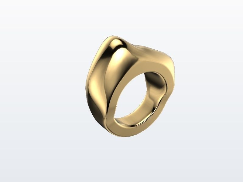 1 to 13 US sizes Modern Organic ring stl verified 3D print model_7