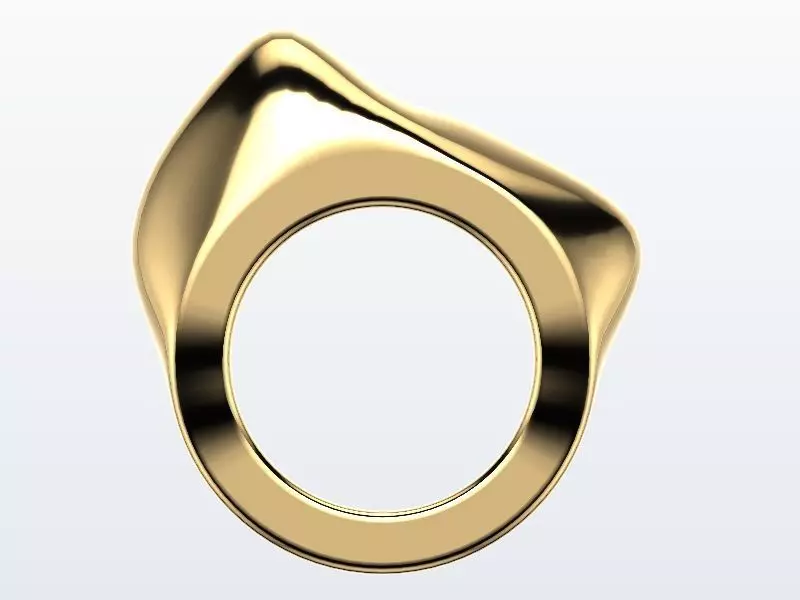1 to 13 US sizes Modern Organic ring stl verified 3D print model_0