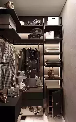 Wardrobe Room Dark Brown 2017 3D Scene