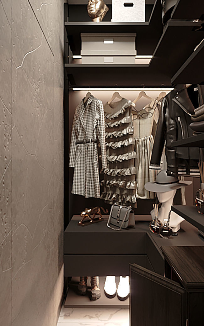 Wardrobe Room Dark Brown 2017 3D Scene 3D model_1