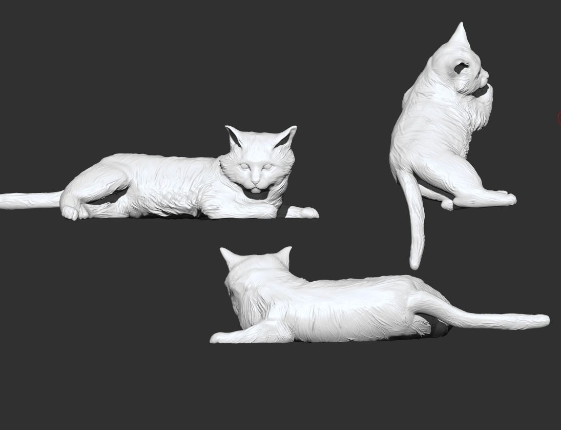Cat base Base Gato 3D model 3D printable | CGTrader