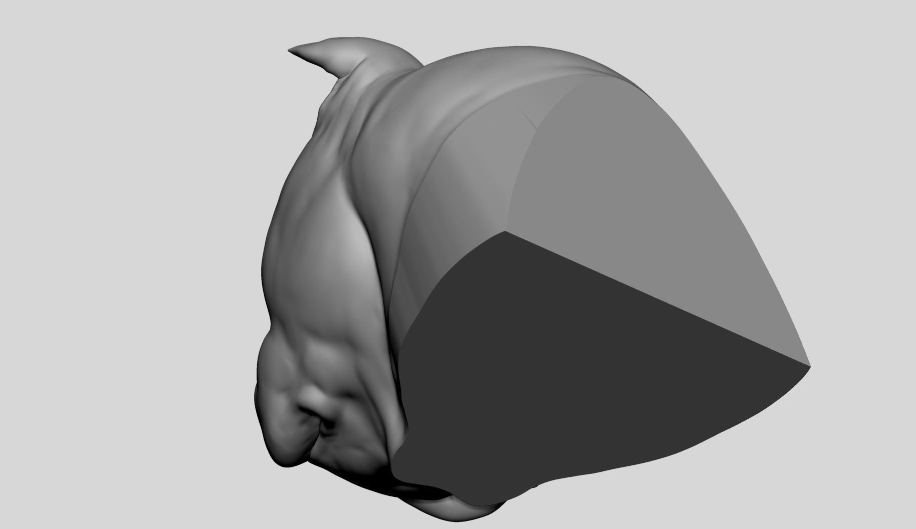 Dog Bust v4 3D model_12